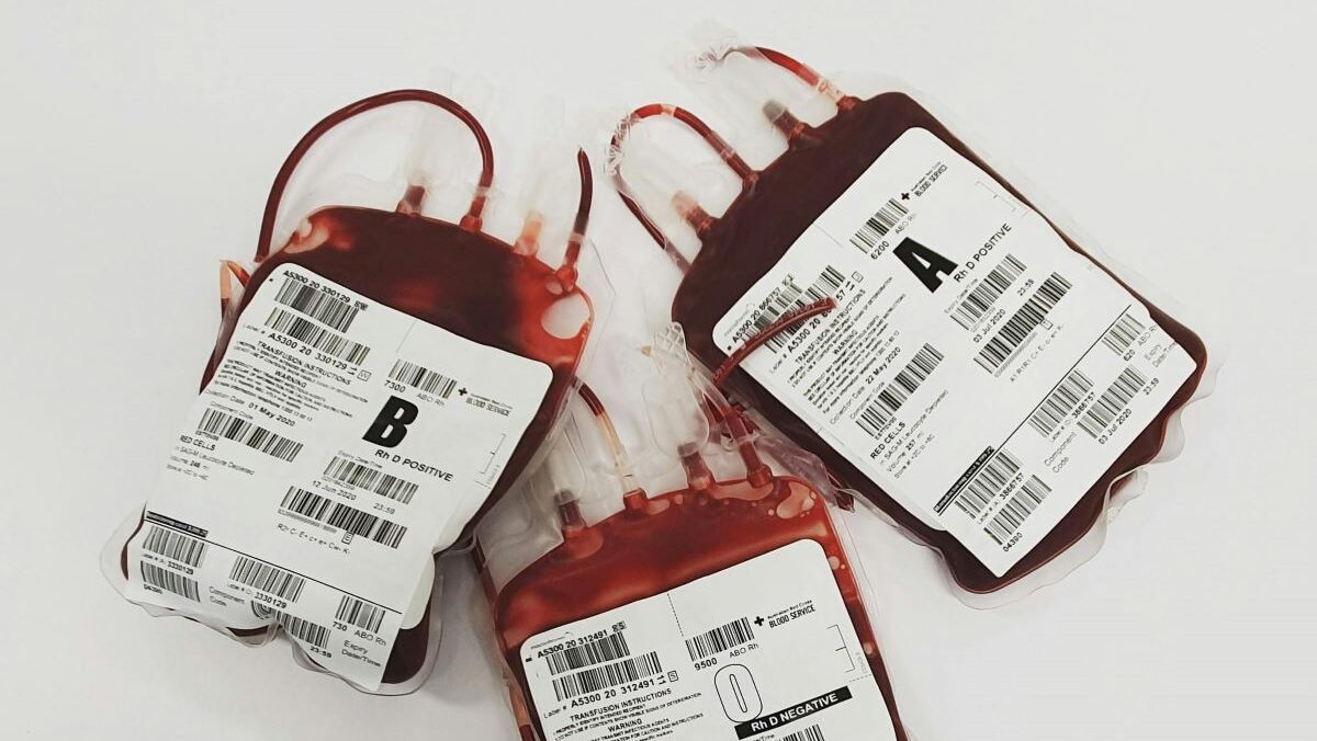 giornata mondiale donatori sangue 2024